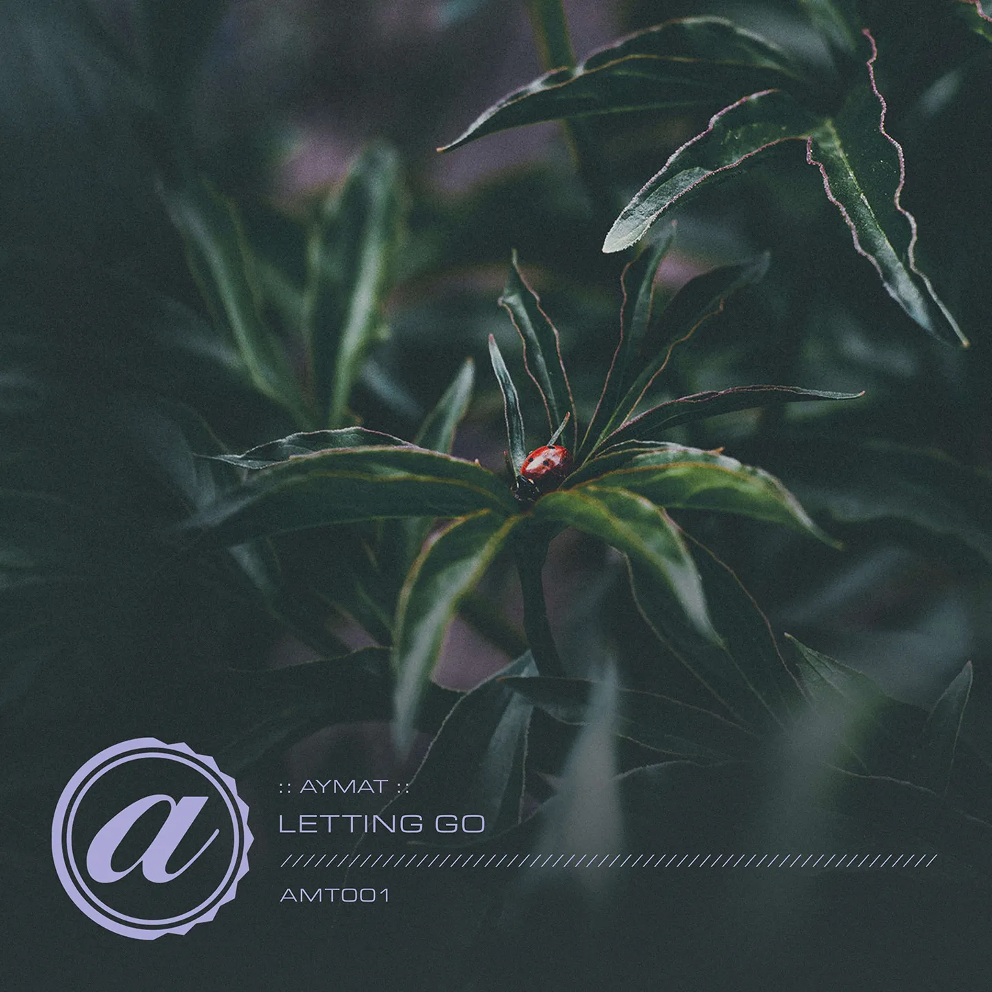 Digital album cover for the Aymat "Letting Go" single track release, showing text and a stylized logo over a dark, moody image of a red ladybug on lush green leaves.